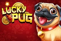 Lucky Pug